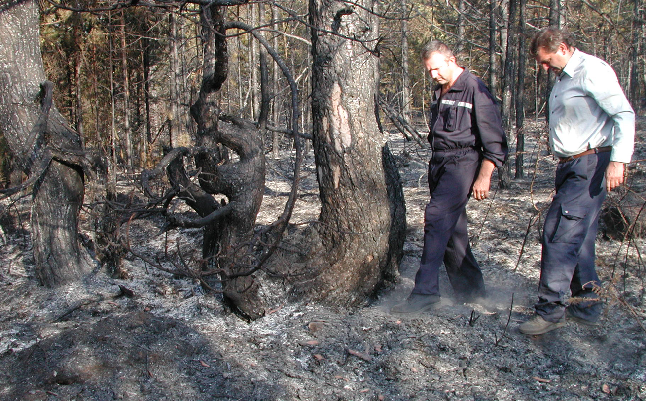 vatra